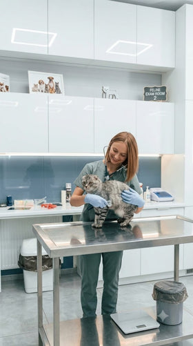 DR. MAYA REYNOLDS, FELINE VETERINARIAN