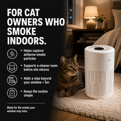 Lestrova Ion Air Purifier