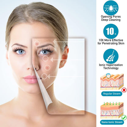 Lestrova Hair and Facial Steamer