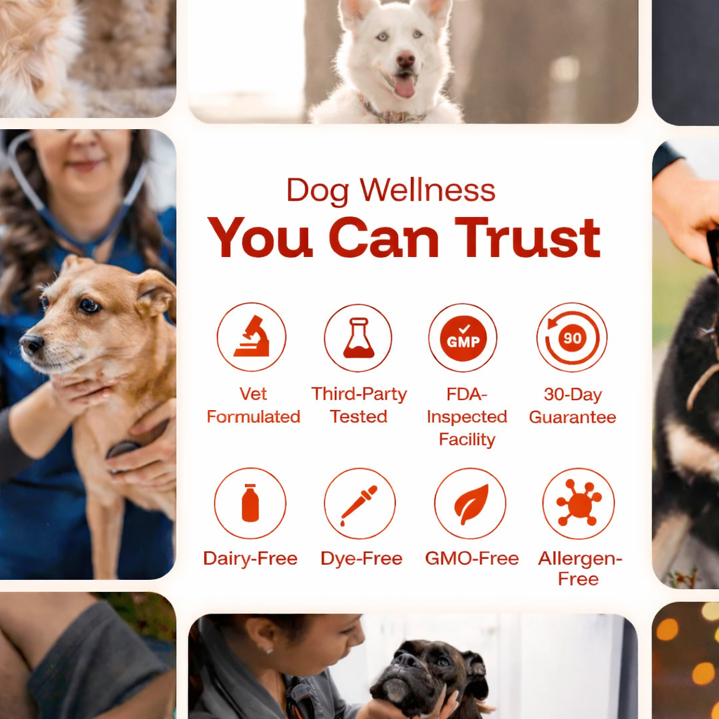 LeStrova Pet Pain Oral Drops