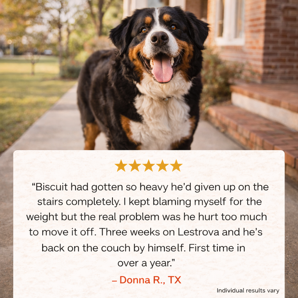 LeStrova Pet Pain Oral Drops