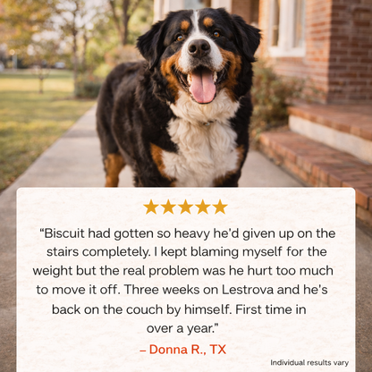 LeStrova Pet Pain Oral Drops