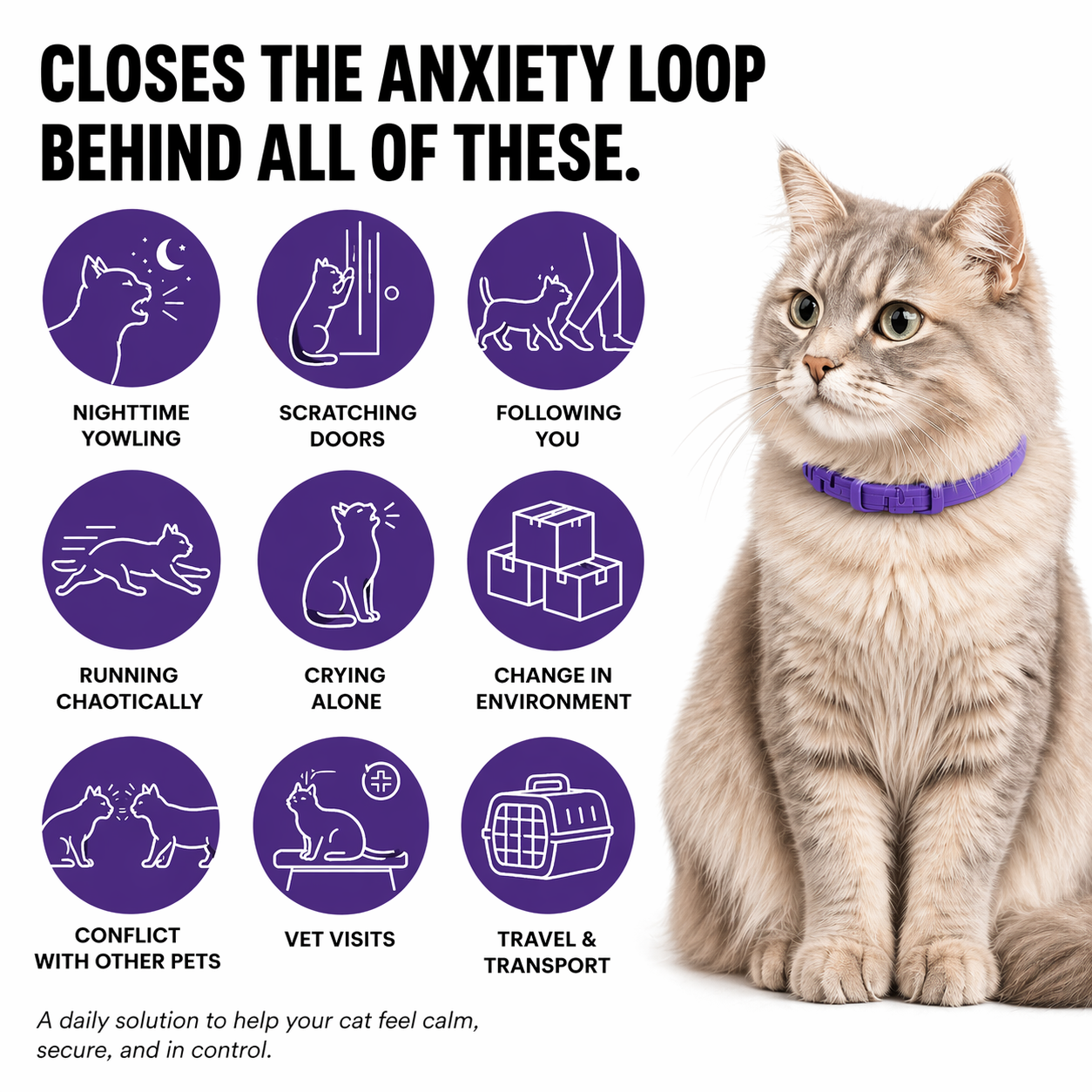 LeStrova Cat Calming Collars