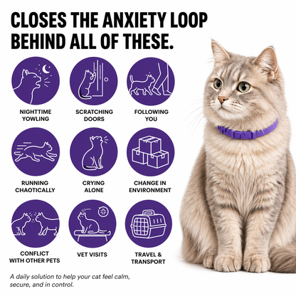 LeStrova Cat Calming Collars