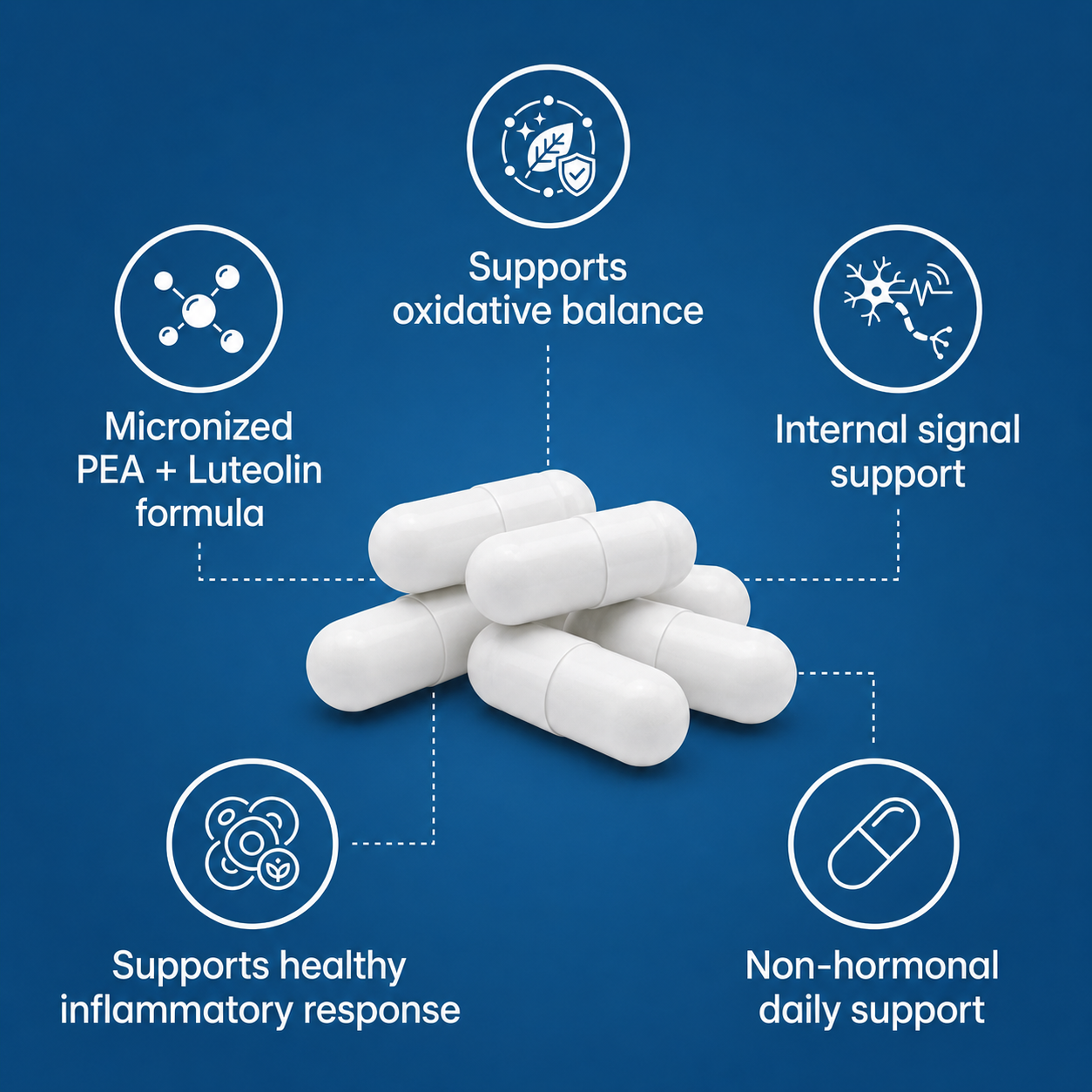 PEA + Luteolin Copy