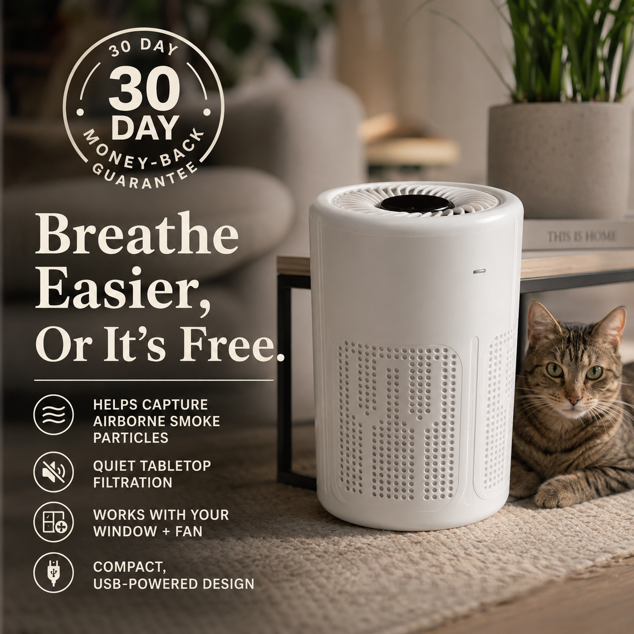 Lestrova Ion Air Purifier