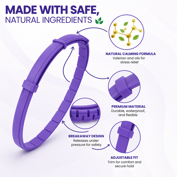 Feature product image