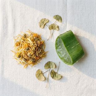 Botanical Recovery Complex